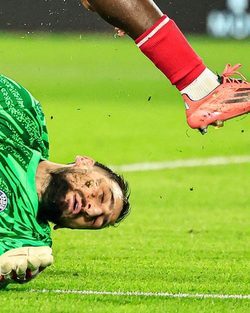 本无法提上 本无法提上