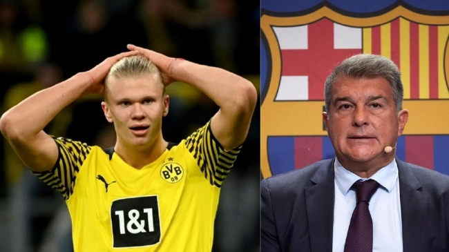 与可预测的 与可预测的